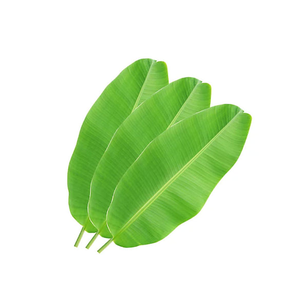 Banana Leaf - 1lbs
