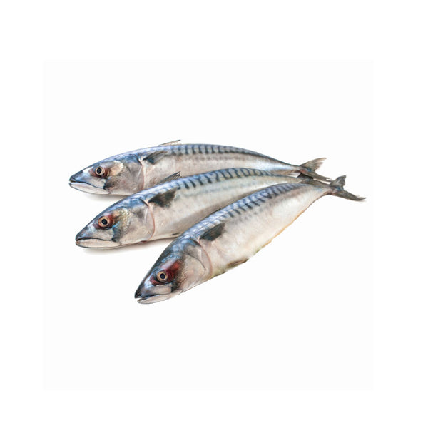 Mackerel Fish - 1lbs