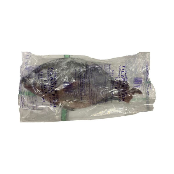 Tilapia Fish 550Up - 1lbs